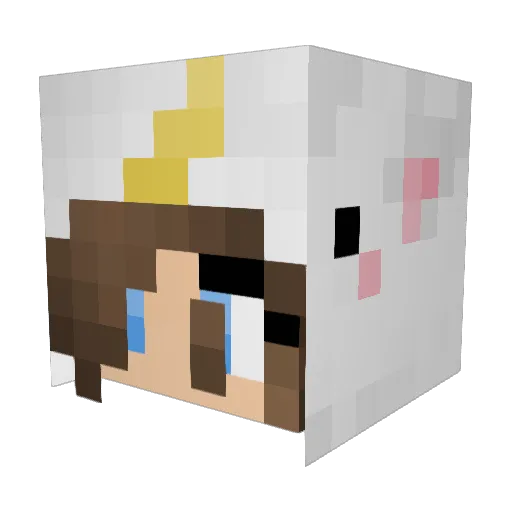 KoolKat321 Minecraft avatar head, 3D render
