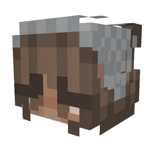 KoolKatBoss Minecraft avatar head, 3D render