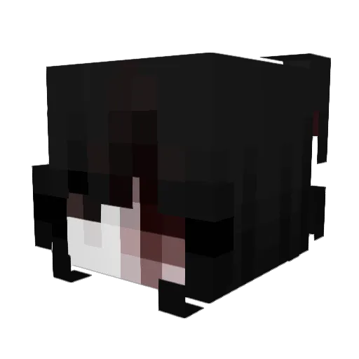KoolKathz Minecraft avatar head, 3D render