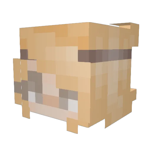 KoolKiwi01 Minecraft avatar head, 3D render