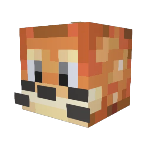 KoolestKoala Minecraft avatar head, 3D render