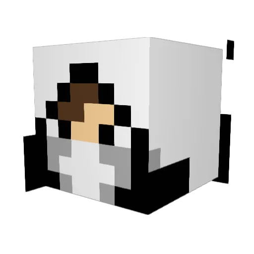 Koolk05 Minecraft avatar head, 3D render
