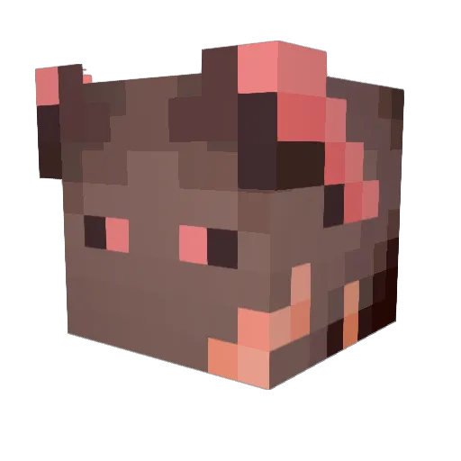 Koolkid12345671 Minecraft avatar head, 3D render
