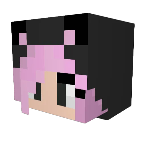 Koolkid2003 Minecraft avatar head, 3D render