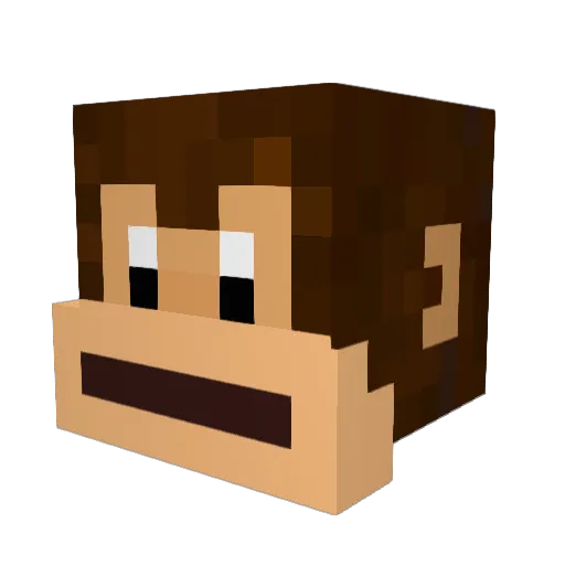 Koolman27 Minecraft avatar head, 3D render