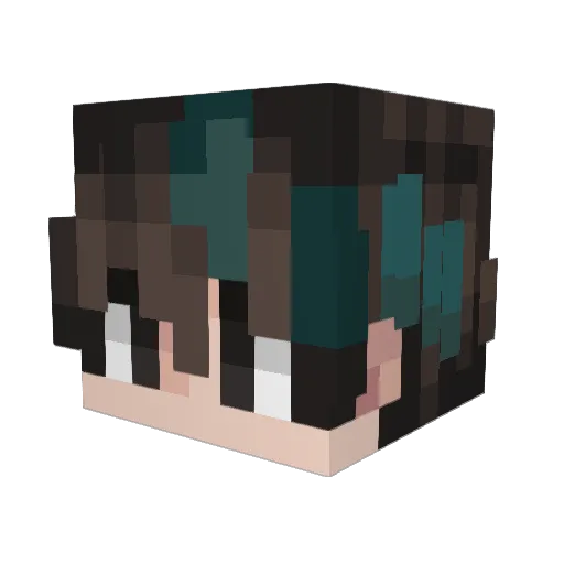 Koolzkoolz Minecraft avatar head, 3D render