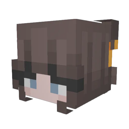 Kooodak Minecraft avatar head, 3D render