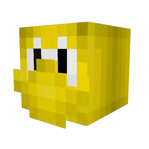 Koopa1001 Minecraft avatar head, 3D render