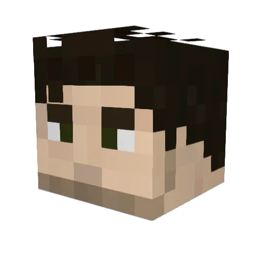 KoopaKern Minecraft avatar head, 3D render