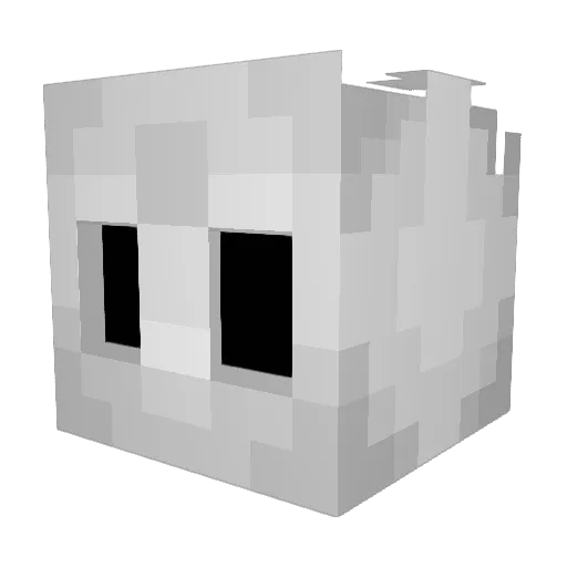 Koopainter Minecraft avatar head, 3D render