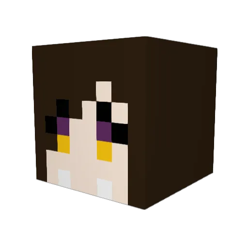Kooperek Minecraft avatar head, 3D render