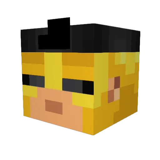 Koopon Minecraft avatar head, 3D render