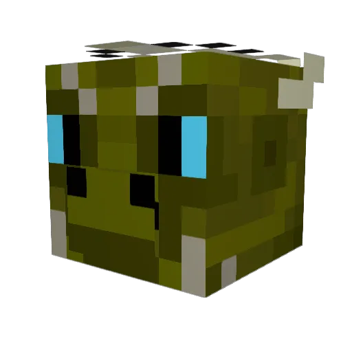 Koops27 Minecraft avatar head, 3D render