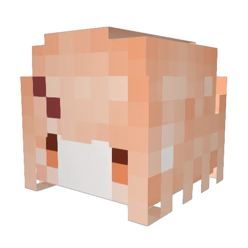 KooriCha Minecraft avatar head, 3D render