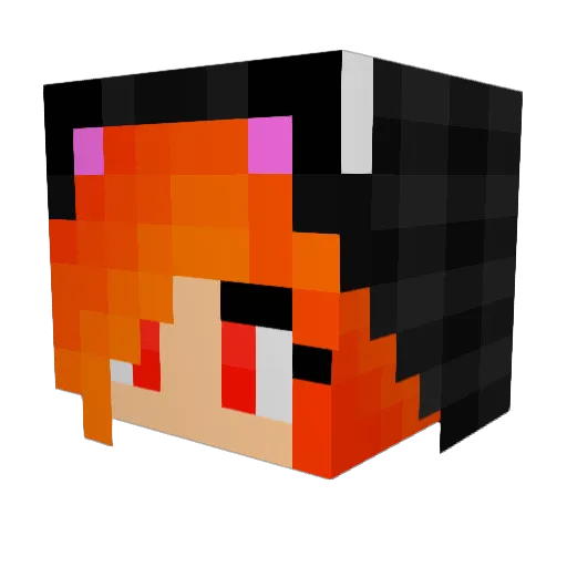 Kootenay Minecraft avatar head, 3D render