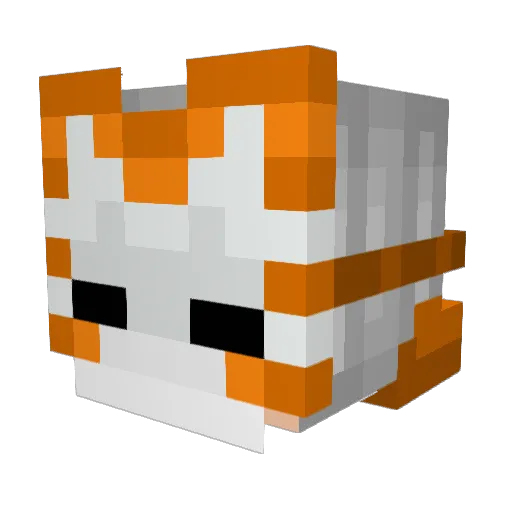 KoperPro Minecraft avatar head, 3D render