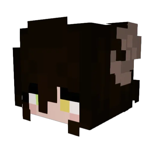 Kopfschmerzen__ Minecraft avatar head, 3D render