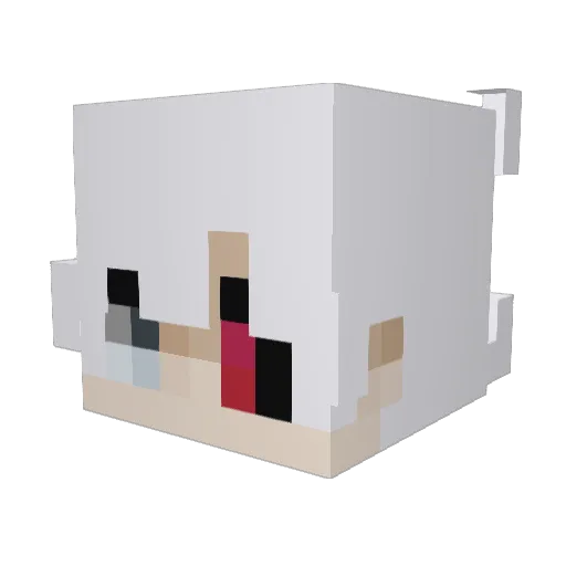 Koppit1942 Minecraft avatar head, 3D render