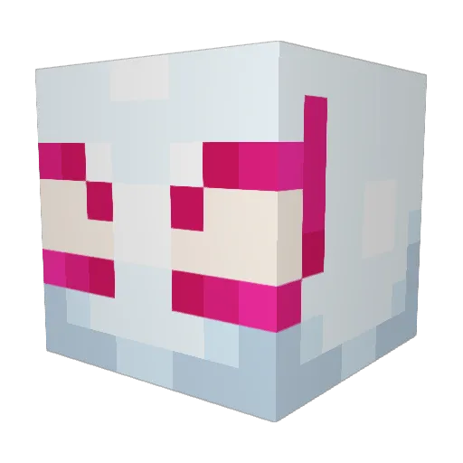 Kora_XD Minecraft avatar head, 3D render