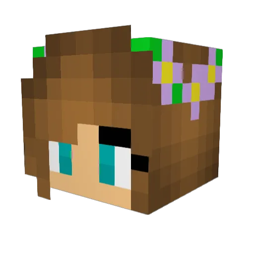 Kora_filip Minecraft avatar head, 3D render