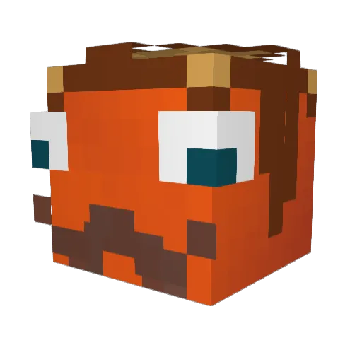 Koracik Minecraft avatar head, 3D render