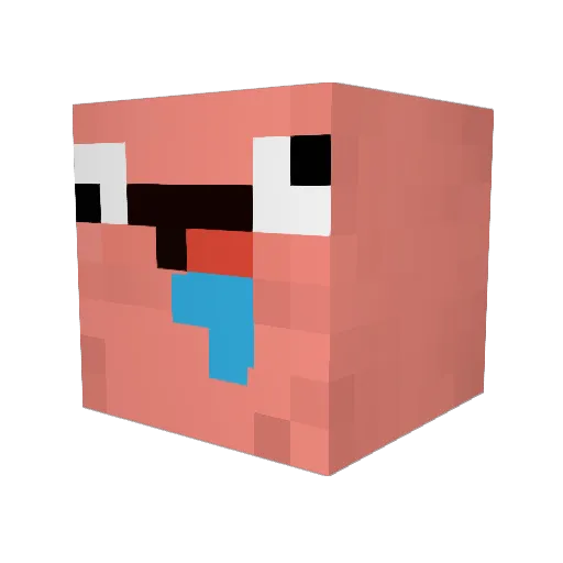 Korall Minecraft avatar head, 3D render