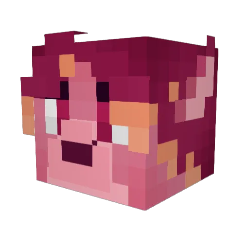 Minecraft-Avatar von Koran1: Kopf als 3D-Render