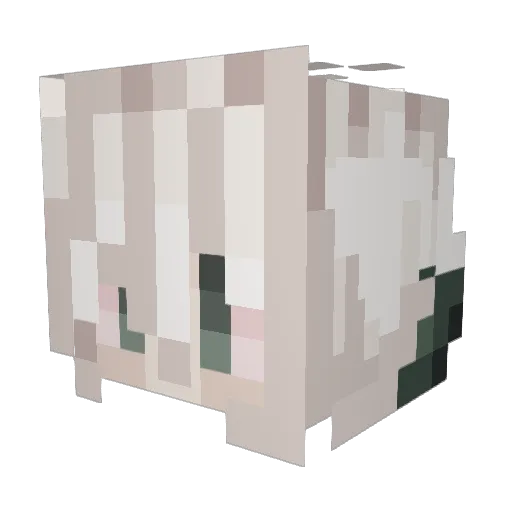Korarin1 Minecraft avatar head, 3D render