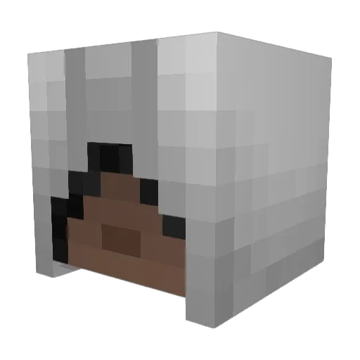 Korbis1981 Minecraft avatar head, 3D render