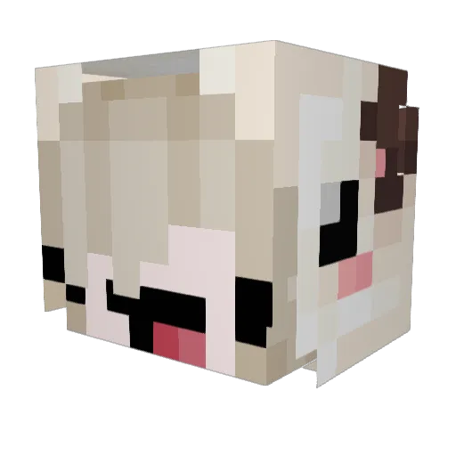Kordula3 Minecraft avatar head, 3D render