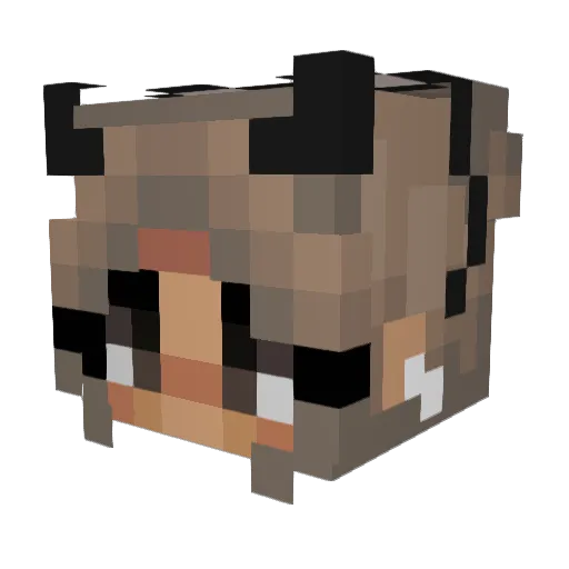 KoreanFriedCats Minecraft avatar head, 3D render