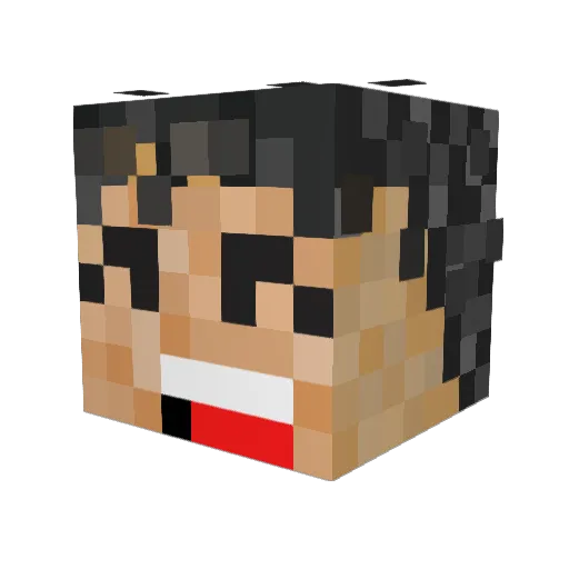 KoreanRice Minecraft avatar head, 3D render