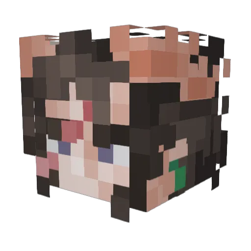 KoriZaFerret Minecraft avatar head, 3D render