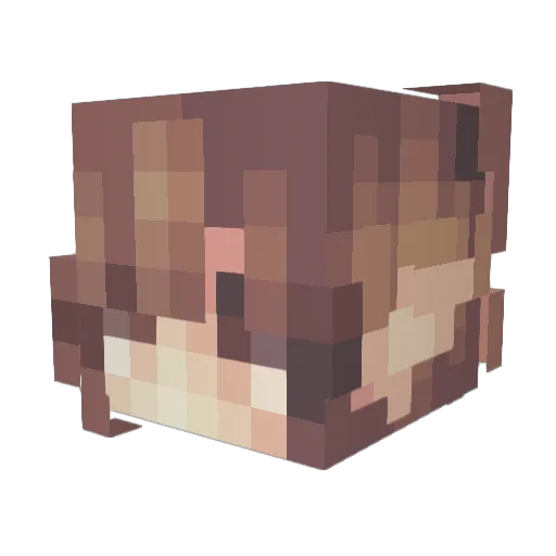 Korineko Minecraft avatar head, 3D render