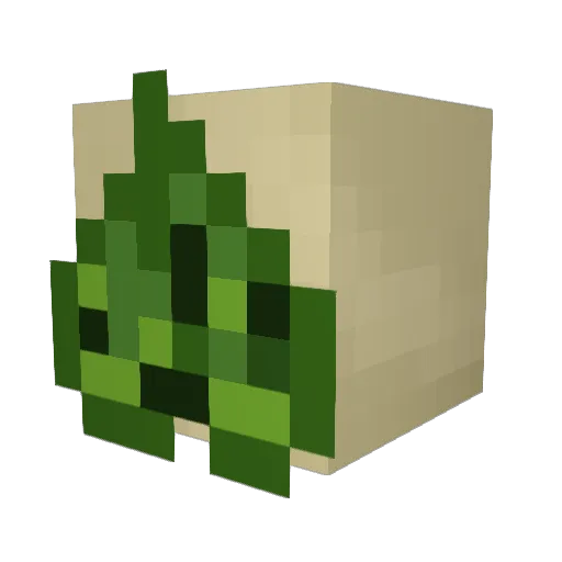 KorokGuy Minecraft avatar head, 3D render