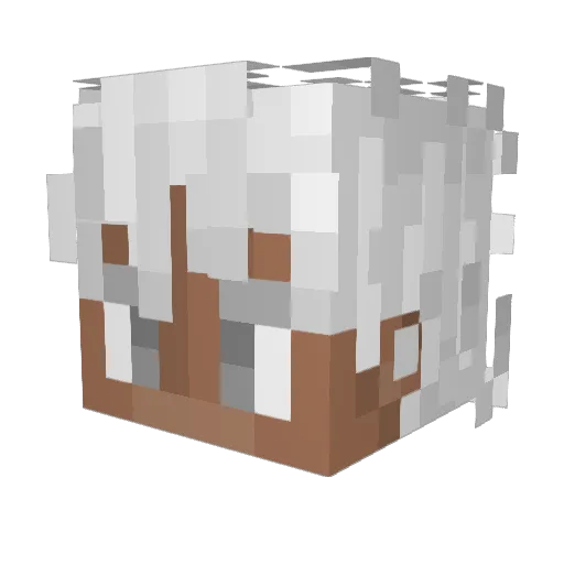 Koronesuki777 Minecraft avatar head, 3D render