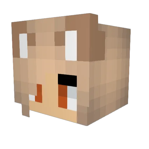 Koronue Minecraft avatar head, 3D render