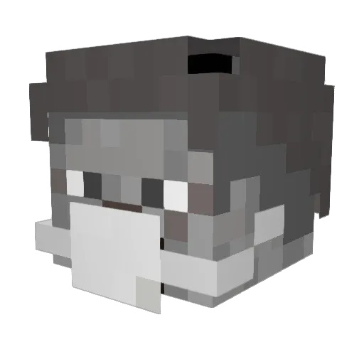 KoronusWirus Minecraft avatar head, 3D render