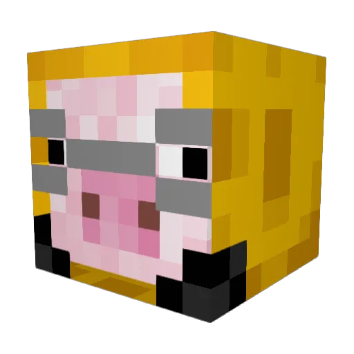 Korpedo06 Minecraft avatar head, 3D render