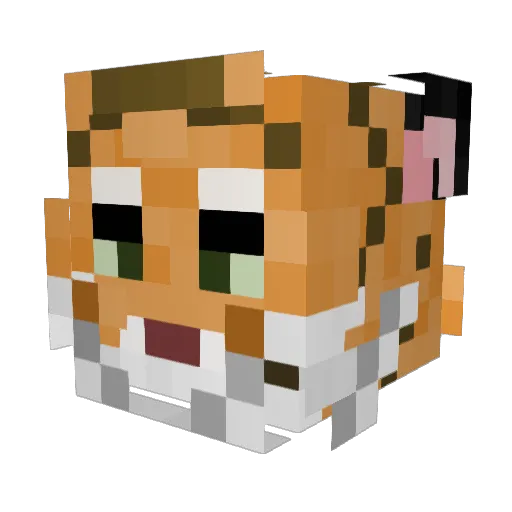 Korpustus Minecraft avatar head, 3D render