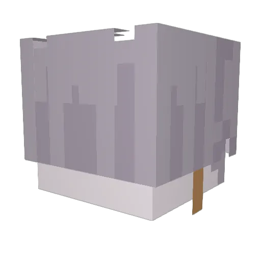 Korrachii Minecraft avatar head, 3D render