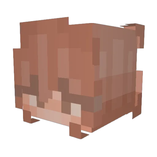 Kortanora Minecraft avatar head, 3D render