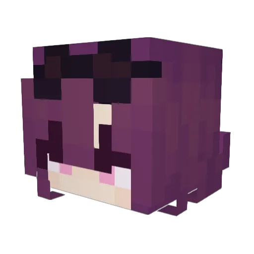Kosekisan Minecraft avatar head, 3D render