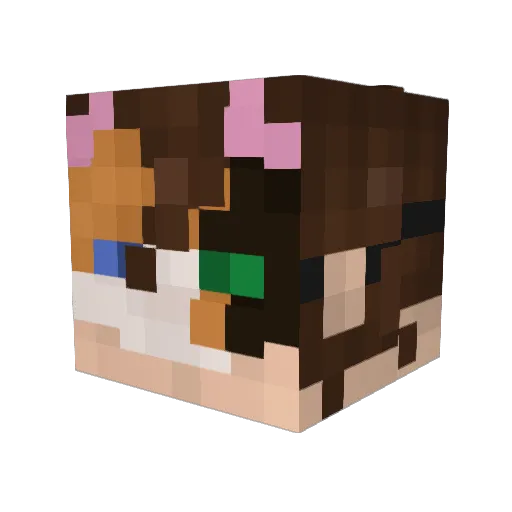 KoshakTop Minecraft avatar head, 3D render