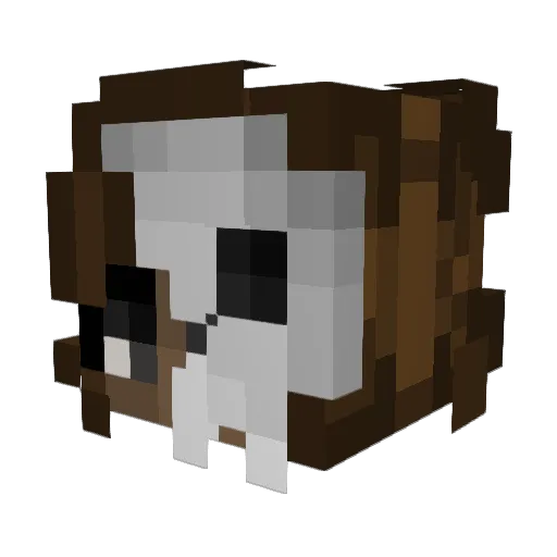 KosherBobaPoke Minecraft avatar head, 3D render