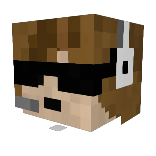 KosherKoala Minecraft avatar head, 3D render