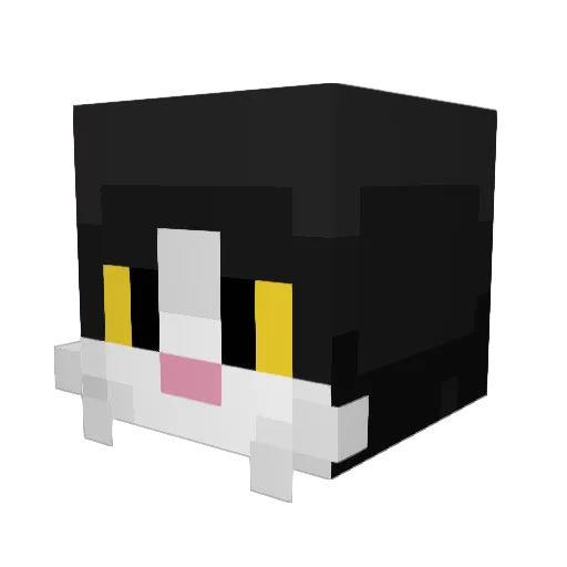 Kosherre Minecraft avatar head, 3D render