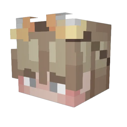 Kosmosss101 Minecraft avatar head, 3D render