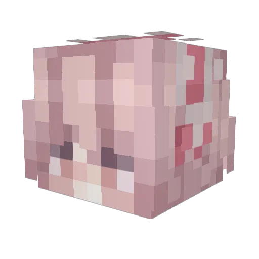 KotAdolf Minecraft avatar head, 3D render