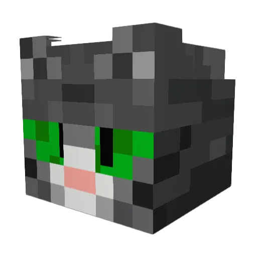 KotFidel Minecraft avatar head, 3D render